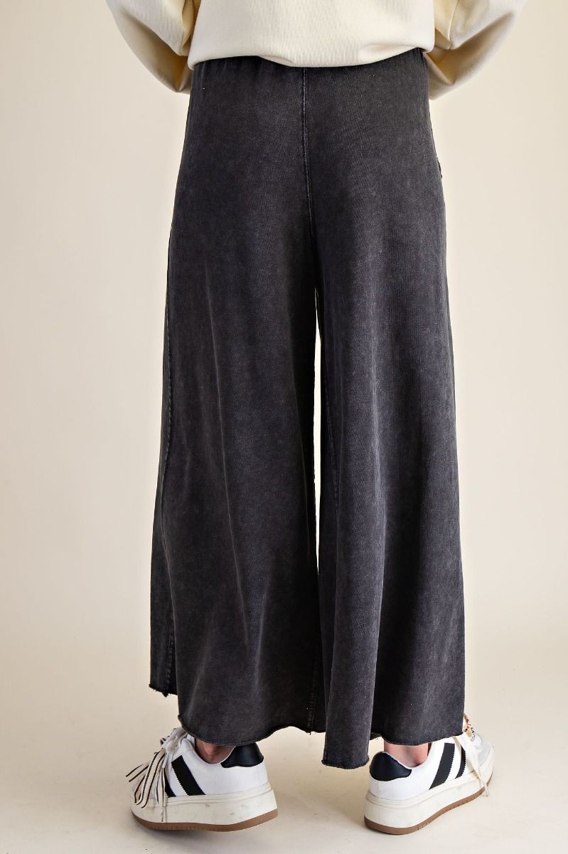 Easel Mineral Wash Pants - Black