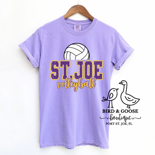 St. Joe Volleyball